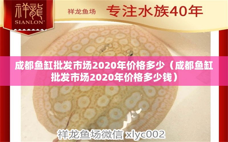 成都鱼缸批发市场2020年价格多少（成都鱼缸批发市场2020年价格多少钱）