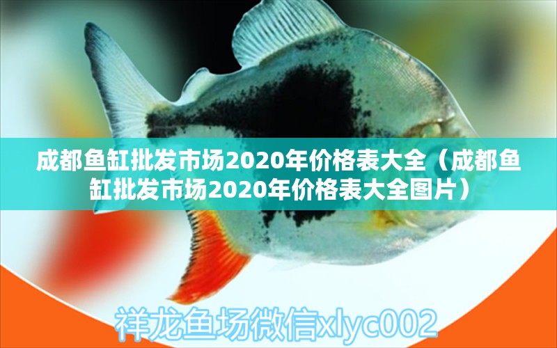 成都鱼缸批发市场2020年价格表大全（成都鱼缸批发市场2020年价格表大全图片）