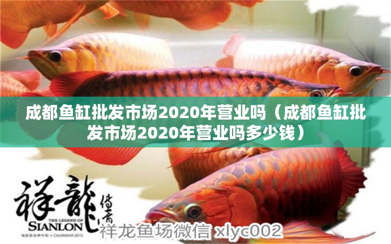 成都鱼缸批发市场2020年营业吗（成都鱼缸批发市场2020年营业吗多少钱） 祥龙鱼场