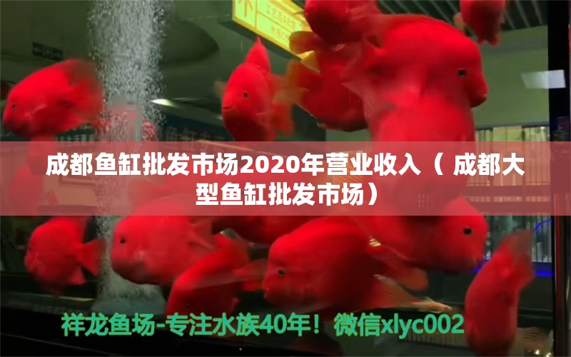 成都鱼缸批发市场2020年营业收入（ 成都大型鱼缸批发市场）