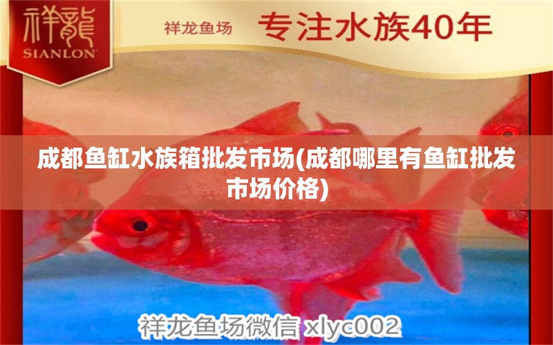 成都鱼缸水族箱批发市场(成都哪里有鱼缸批发市场价格) 鱼缸/水族箱