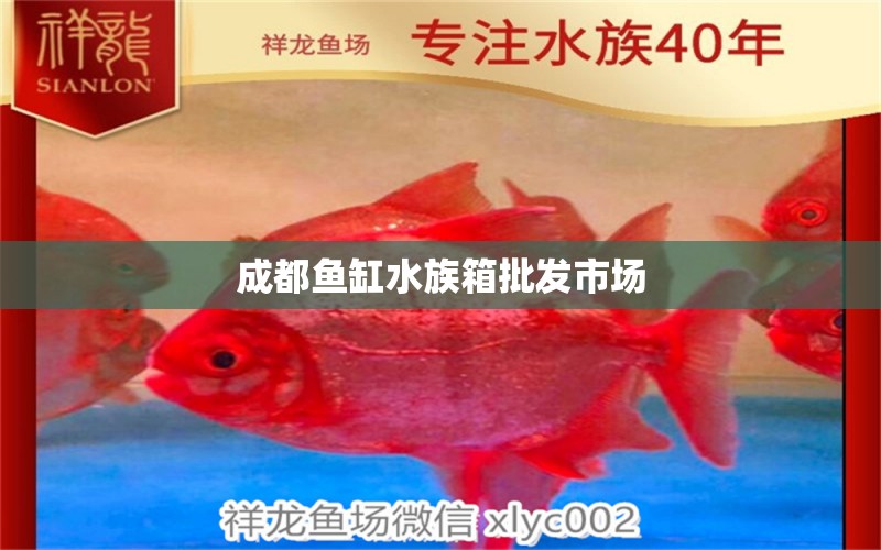 成都鱼缸水族箱批发市场 鱼缸/水族箱 第1张