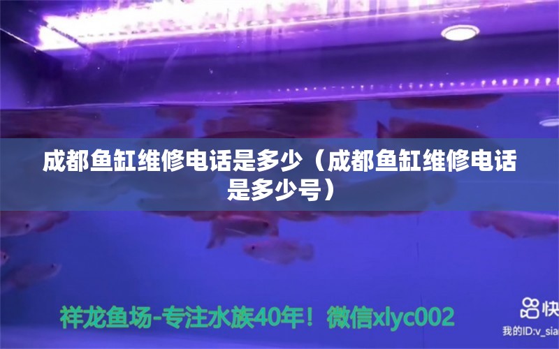 成都鱼缸维修电话是多少（成都鱼缸维修电话是多少号） 其他品牌鱼缸