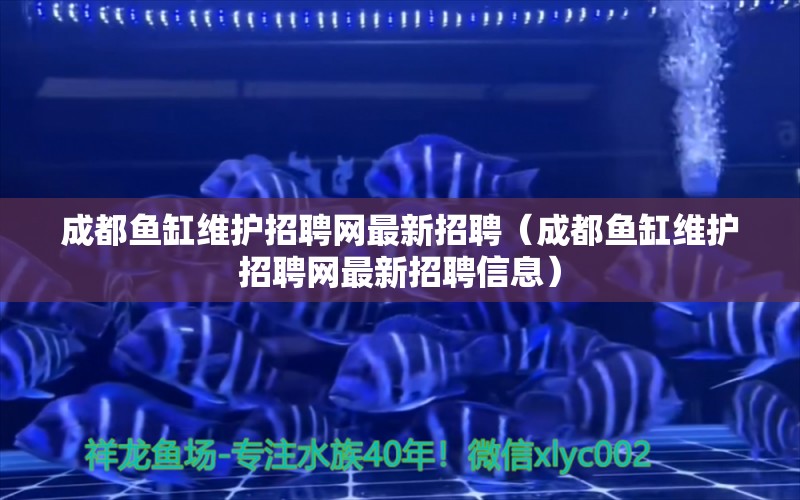 成都鱼缸维护招聘网最新招聘（成都鱼缸维护招聘网最新招聘信息）