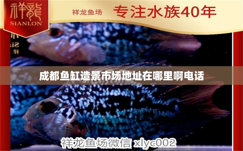 成都鱼缸造景市场地址在哪里啊电话 水族问答 第2张