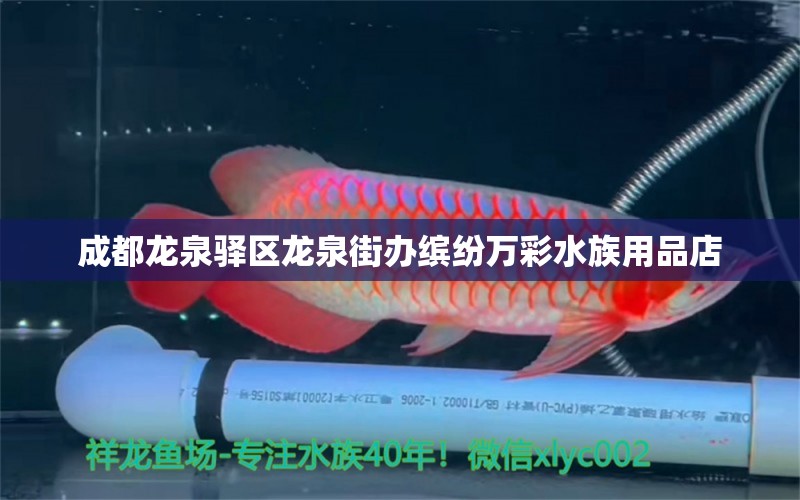 成都龙泉驿区龙泉街办缤纷万彩水族用品店