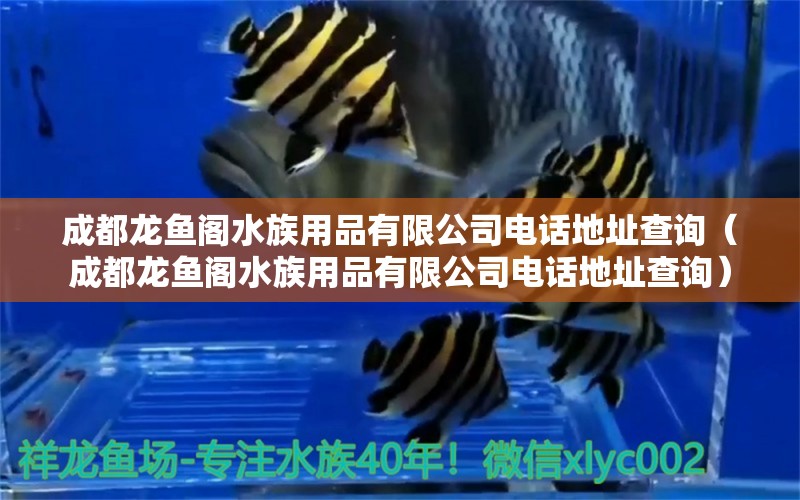 成都龙鱼阁水族用品有限公司电话地址查询（成都龙鱼阁水族用品有限公司电话地址查询）