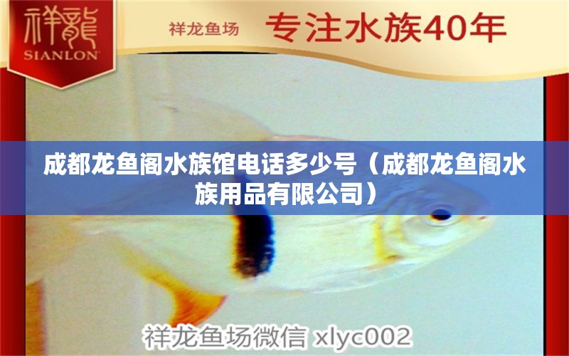 成都龙鱼阁水族馆电话多少号（成都龙鱼阁水族用品有限公司）