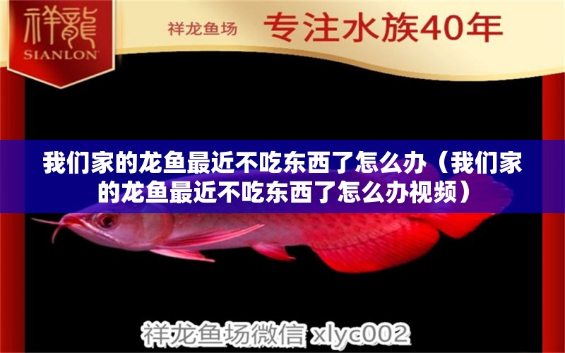 我们家的龙鱼最近不吃东西了怎么办（我们家的龙鱼最近不吃东西了怎么办视频）