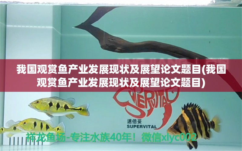 我国观赏鱼产业发展现状及展望论文题目(我国观赏鱼产业发展现状及展望论文题目) 广州水族器材滤材批发市场