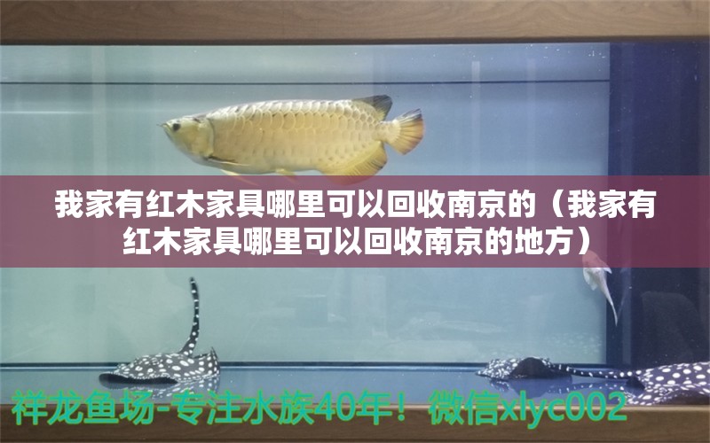 我家有红木家具哪里可以回收南京的（我家有红木家具哪里可以回收南京的地方） 文玩