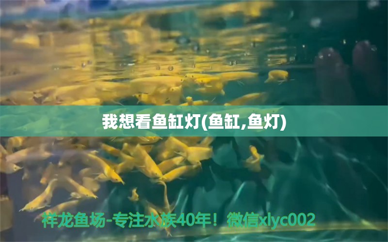 我想看鱼缸灯(鱼缸,鱼灯) 养鱼知识 第1张