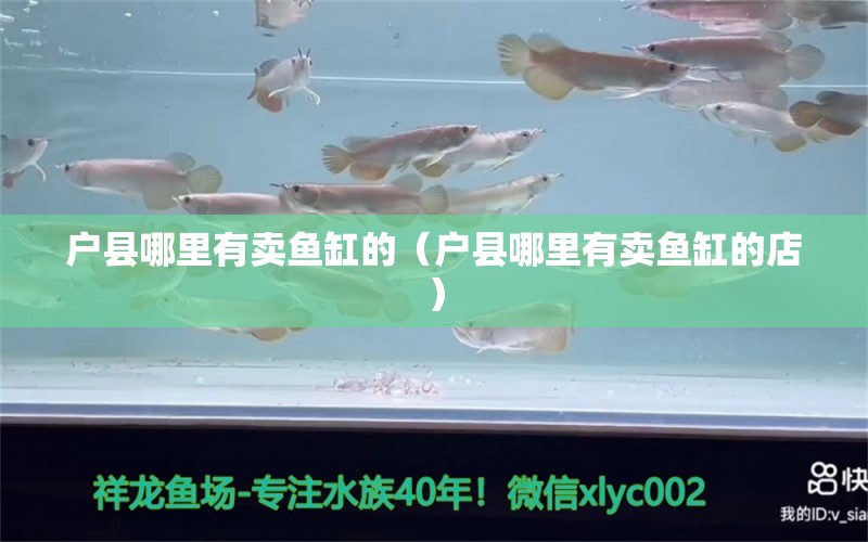 户县哪里有卖鱼缸的（户县哪里有卖鱼缸的店） 水族世界