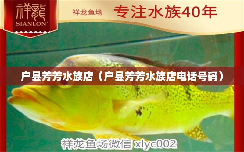 户县芳芳水族店（户县芳芳水族店电话号码） 全国水族馆企业名录