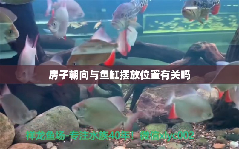 房子朝向与鱼缸摆放位置有关吗 水族问答 第1张