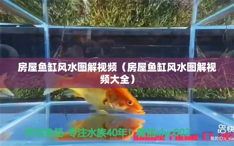 房屋鱼缸风水图解视频（房屋鱼缸风水图解视频大全）