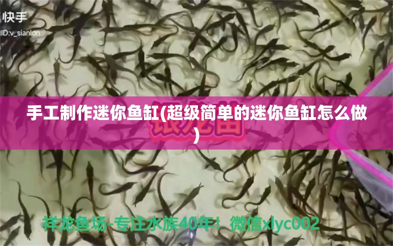 手工制作迷你鱼缸(超级简单的迷你鱼缸怎么做)