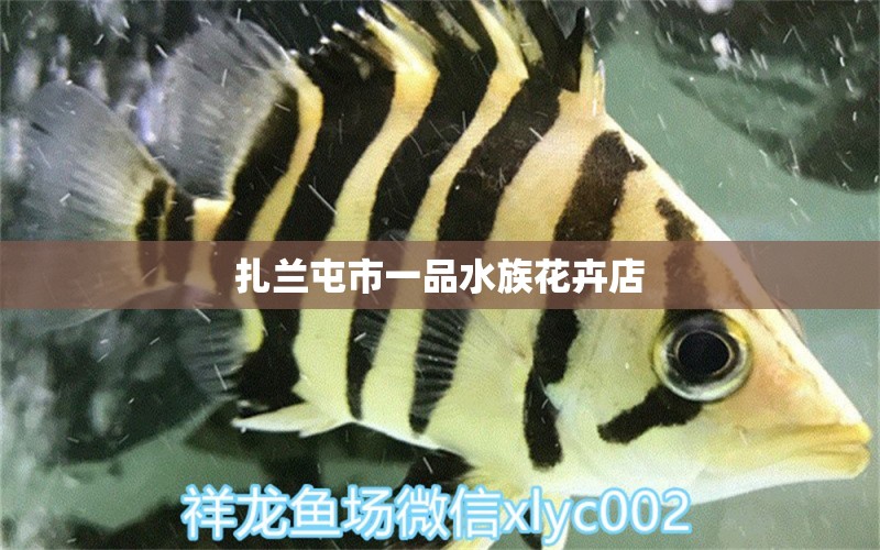 扎兰屯市一品水族花卉店 全国水族馆企业名录