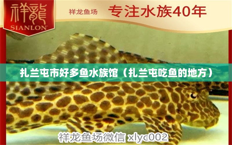 扎兰屯市好多鱼水族馆（扎兰屯吃鱼的地方） 全国水族馆企业名录