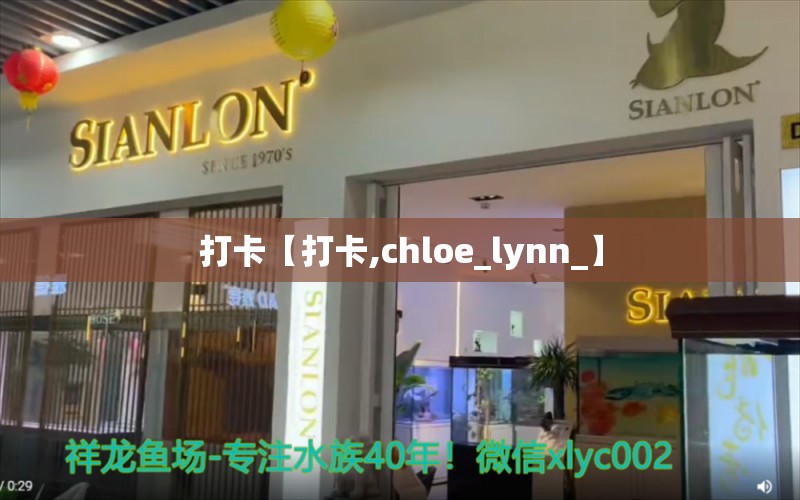 打卡【打卡,chloe_lynn_】 观赏鱼论坛 第2张