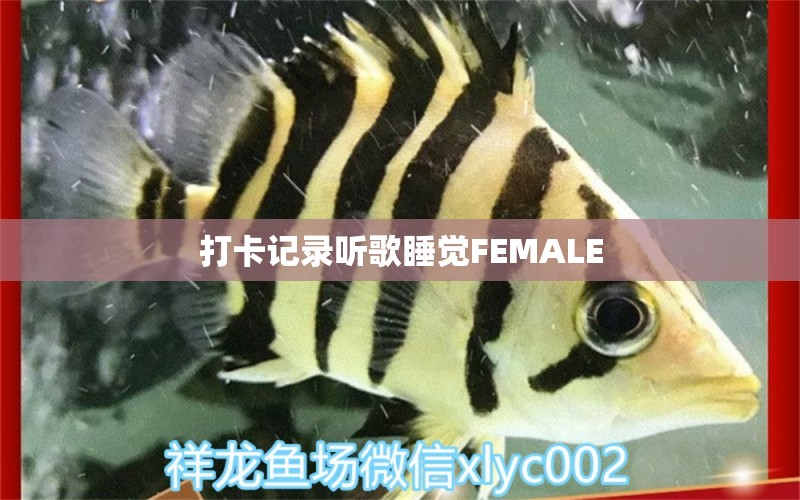 打卡记录听歌睡觉FEMALE 白子黄化银龙鱼