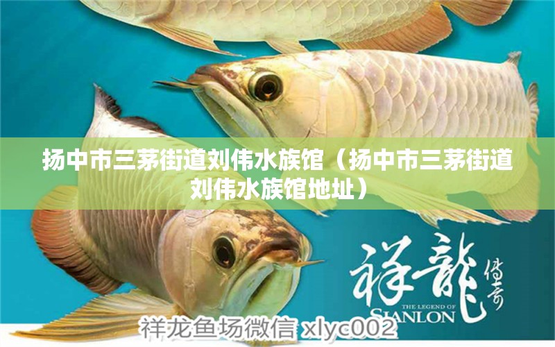 扬中市三茅街道刘伟水族馆（扬中市三茅街道刘伟水族馆地址） 全国水族馆企业名录