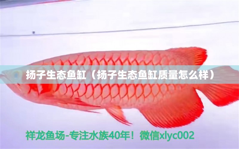 扬子生态鱼缸（扬子生态鱼缸质量怎么样）