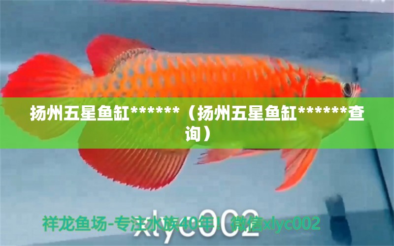 扬州五星鱼缸******（扬州五星鱼缸******查询）