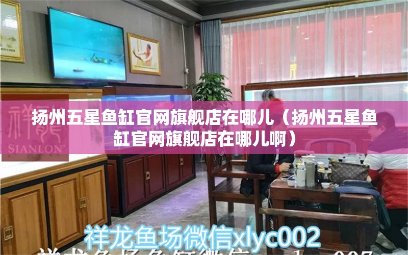 扬州五星鱼缸官网旗舰店在哪儿（扬州五星鱼缸官网旗舰店在哪儿啊）