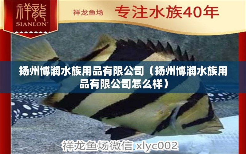 扬州博润水族用品有限公司（扬州博润水族用品有限公司怎么样） 水族用品