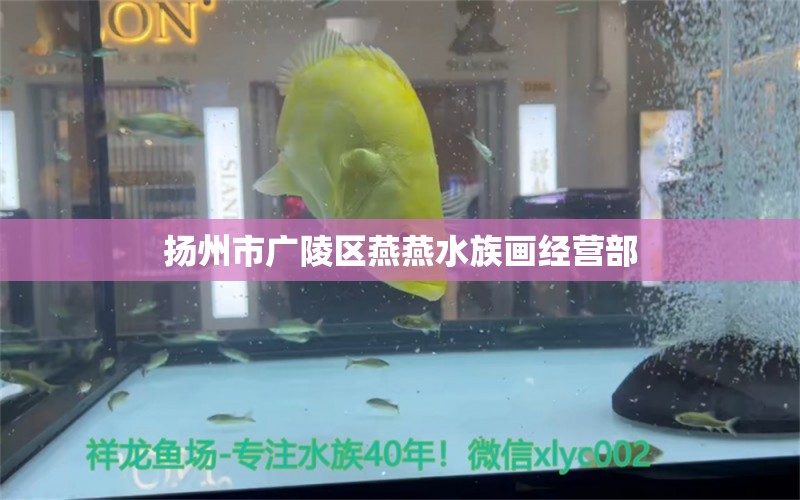 扬州市广陵区燕燕水族画经营部 全国水族馆企业名录