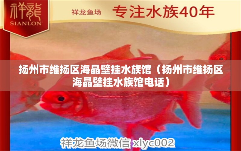 扬州市维扬区海晶壁挂水族馆（扬州市维扬区海晶壁挂水族馆电话）