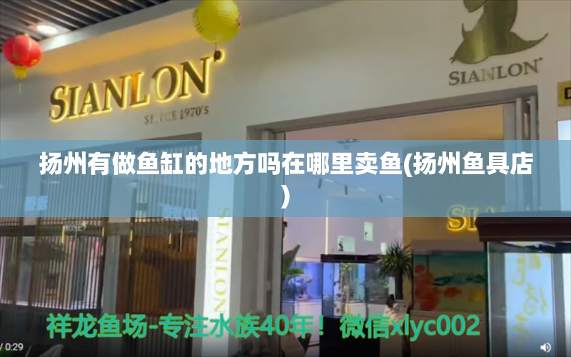 扬州有做鱼缸的地方吗在哪里卖鱼(扬州鱼具店)