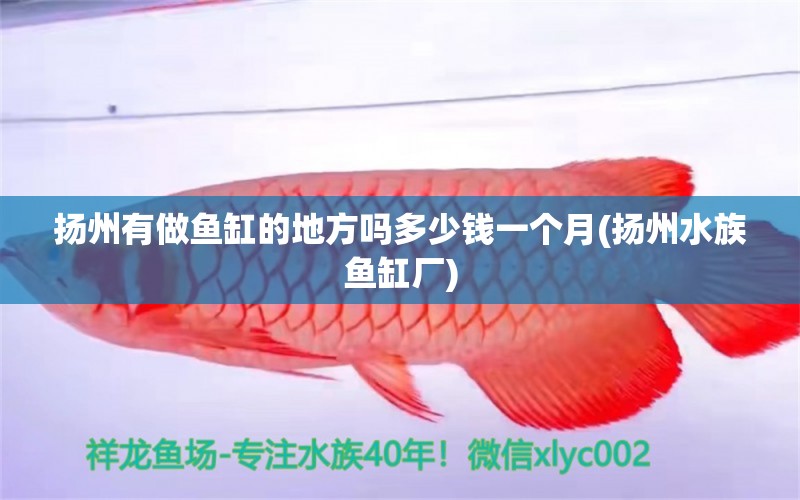 扬州有做鱼缸的地方吗多少钱一个月(扬州水族鱼缸厂)