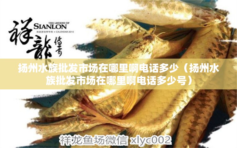 扬州水族批发市场在哪里啊电话多少（扬州水族批发市场在哪里啊电话多少号）