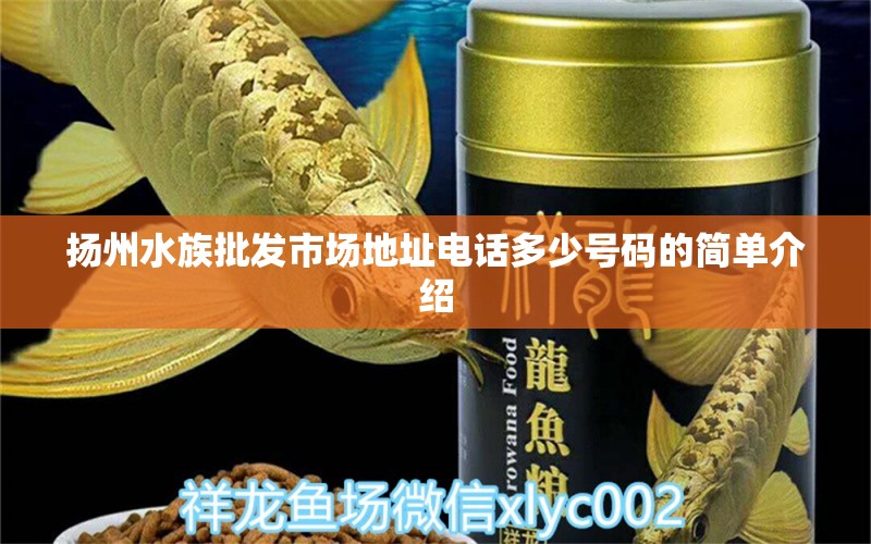 扬州水族批发市场地址电话多少号码的简单介绍