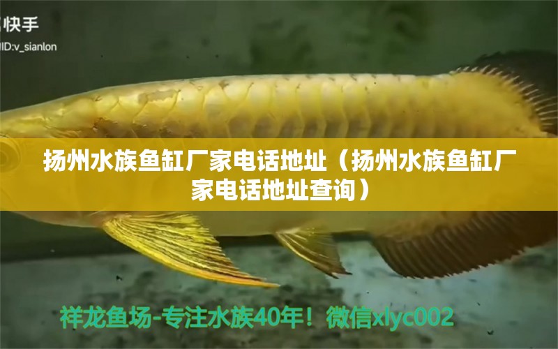 扬州水族鱼缸厂家电话地址（扬州水族鱼缸厂家电话地址查询） 金龙鱼粮