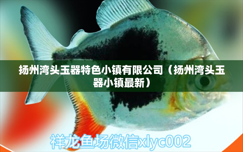 扬州湾头玉器特色小镇有限公司（扬州湾头玉器小镇最新） 全国水族馆企业名录