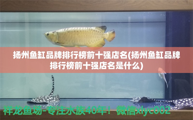 扬州鱼缸品牌排行榜前十强店名(扬州鱼缸品牌排行榜前十强店名是什么) 印尼四纹虎 第1张