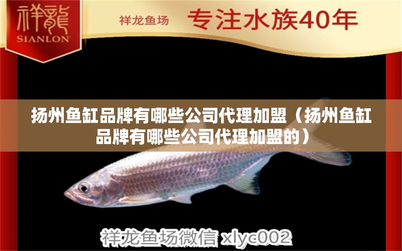 扬州鱼缸品牌有哪些公司代理加盟（扬州鱼缸品牌有哪些公司代理加盟的） 其他品牌鱼缸
