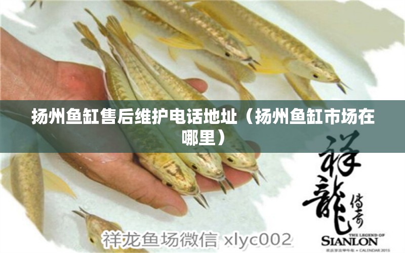 扬州鱼缸售后维护电话地址（扬州鱼缸市场在哪里） 其他品牌鱼缸