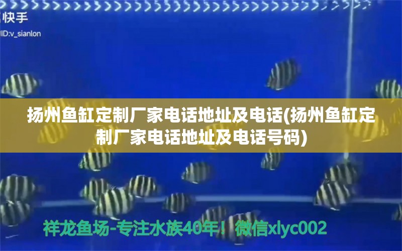 扬州鱼缸定制厂家电话地址及电话(扬州鱼缸定制厂家电话地址及电话号码) 斑马鸭嘴鱼