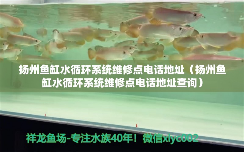 扬州鱼缸水循环系统维修点电话地址（扬州鱼缸水循环系统维修点电话地址查询）