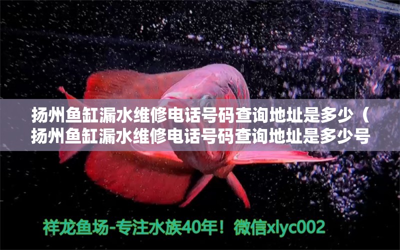 扬州鱼缸漏水维修电话号码查询地址是多少（扬州鱼缸漏水维修电话号码查询地址是多少号） 其他品牌鱼缸