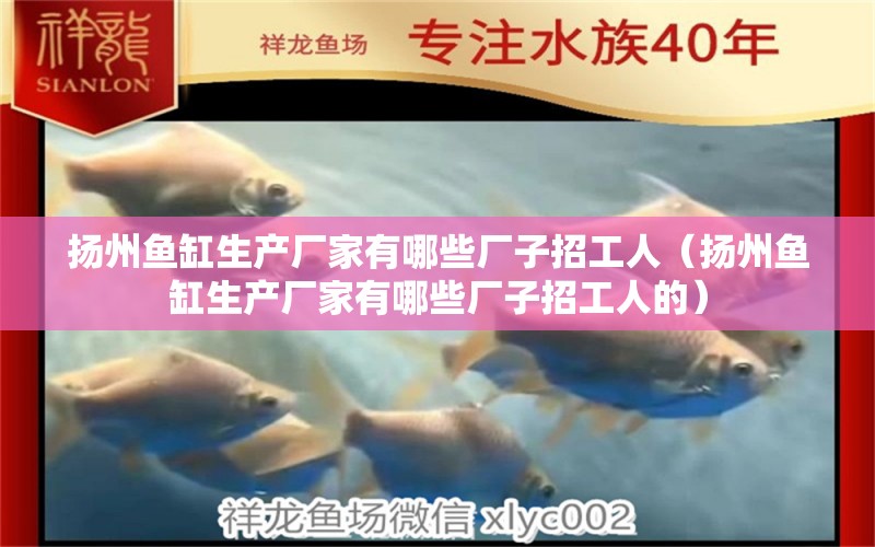 扬州鱼缸生产厂家有哪些厂子招工人（扬州鱼缸生产厂家有哪些厂子招工人的）