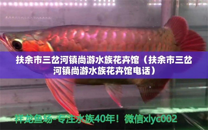 扶余市三岔河镇尚游水族花卉馆（扶余市三岔河镇尚游水族花卉馆电话）