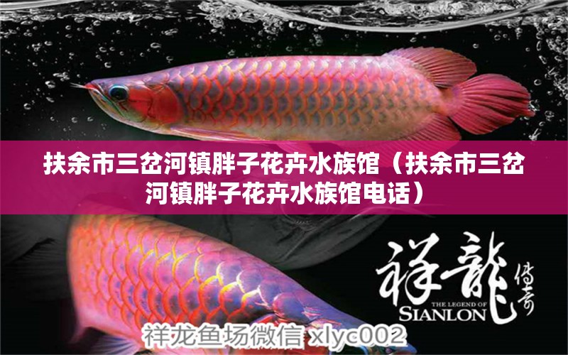 扶余市三岔河镇胖子花卉水族馆（扶余市三岔河镇胖子花卉水族馆电话） 全国水族馆企业名录