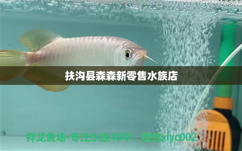 扶沟县森森新零售水族店 全国水族馆企业名录