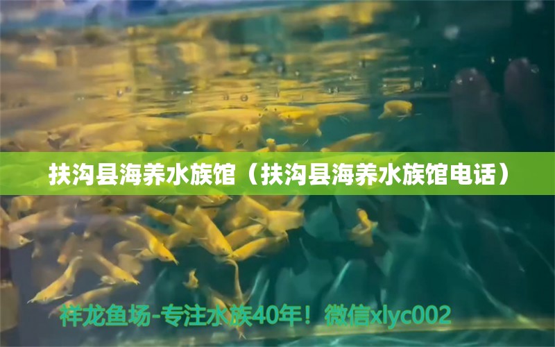 扶沟县海养水族馆（扶沟县海养水族馆电话） 全国水族馆企业名录