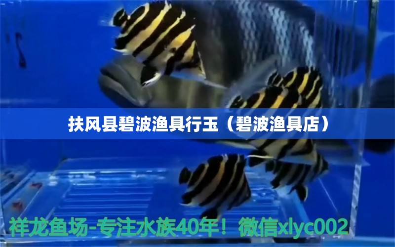 扶风县碧波渔具行玉（碧波渔具店） 全国水族馆企业名录